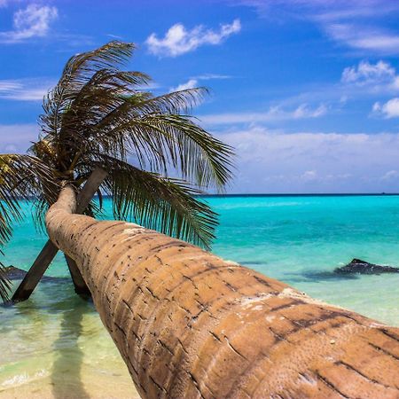 Ci-Ritorno View Hotel Maafushi Kültér fotó