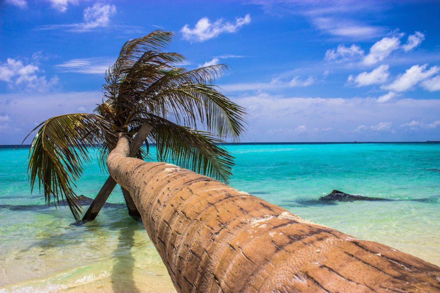 Ci-Ritorno View Hotel Maafushi Kültér fotó